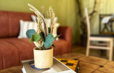 Dream In Green - Foto 6