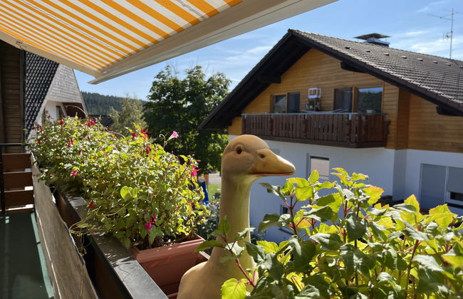 Schleuniger - Foto 10