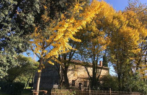 Casale Piantata Orte con piscina - Foto 66