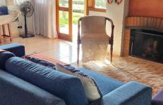 João-de-barro - Foto 1