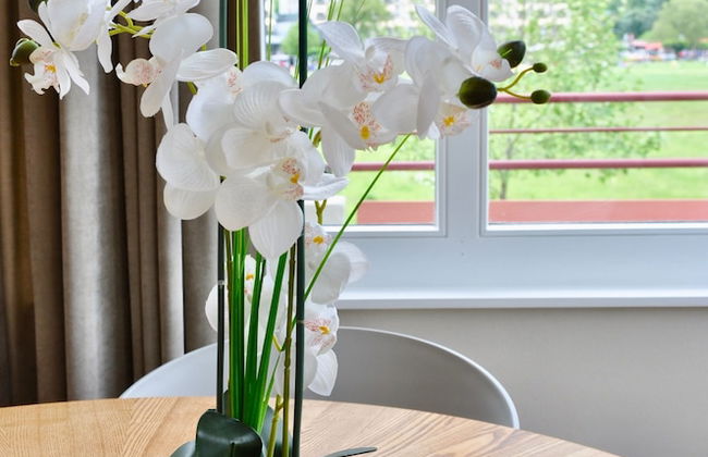 The Loft Interlaken - Foto 15