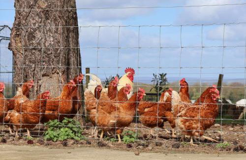 Beth's Cottage - Foto 34