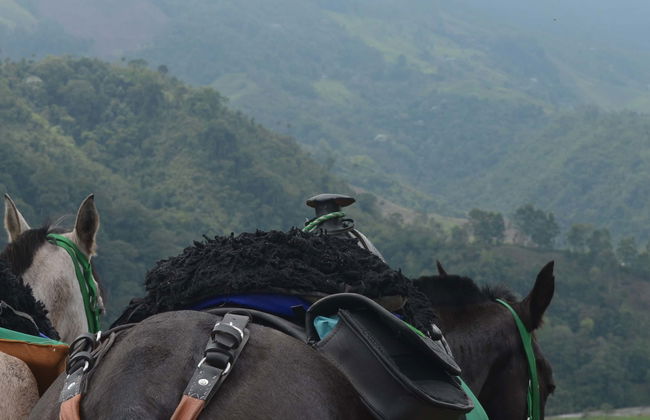 Horseback Riding in Salento - Photo 1