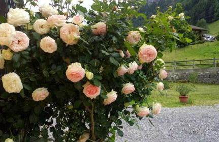 Le Clos Savoie Lorraine - Foto 25