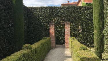 Villa Serena - Foto 5, Garden