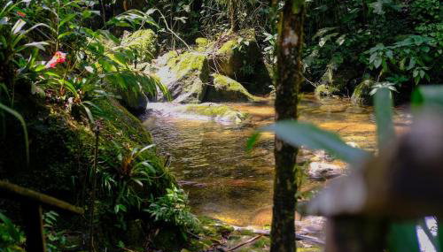 Casa em penedo com cachoeira - Foto 5