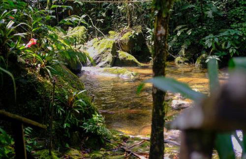 Casa em penedo com cachoeira - Photo 5