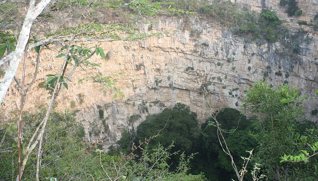 Sima de las cotorras - Foto 3