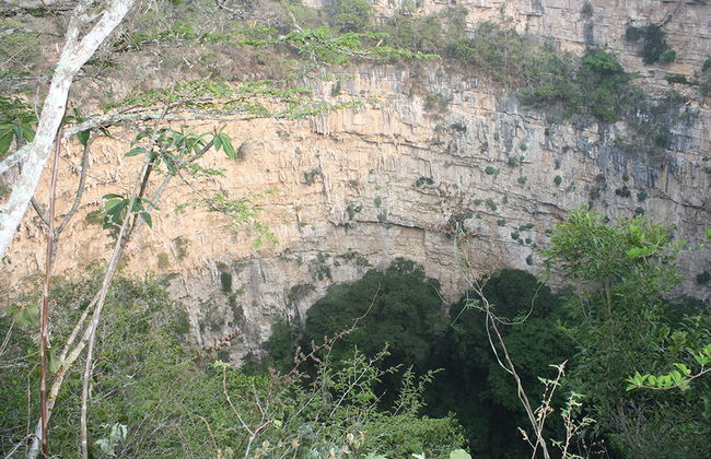 Sima de las Cotorras - Foto 3