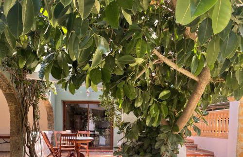 La Posada Paradiso - Foto 17