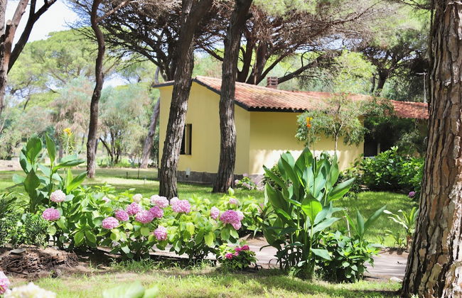 Residence with swimming-pool in Arborea - Foto 16