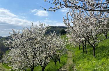 La Casetta in Costa - Foto 22