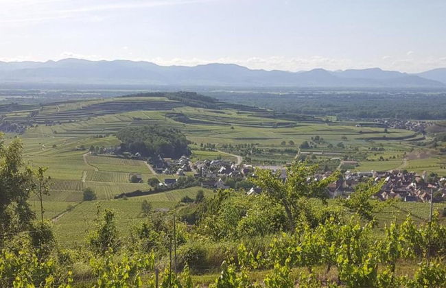 Apartment in Kleines Wiesental - Foto 29