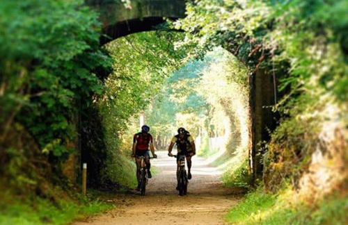 Finca Arep alquiler integro 6 Les Planes - Foto 41