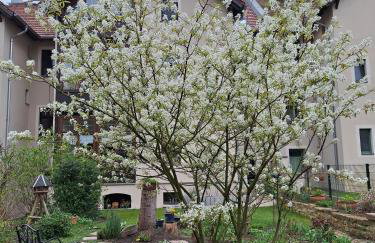 Zillestuben Altenburg - Foto 17