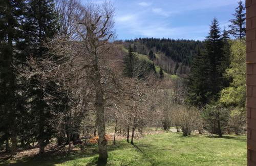 Lo Cantalés d’Aubrac - Photo 14