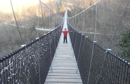 Aizalegia - Photo 41