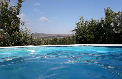 Casa do Feitor - Douro - Quinta da Cabrida - Foto 38