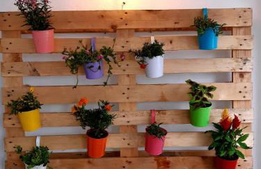 Roc de San Cayetano 14B - Foto 21