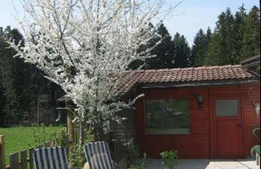 Haus Biggi - Ferienwohnung Pfänder - Photo 12