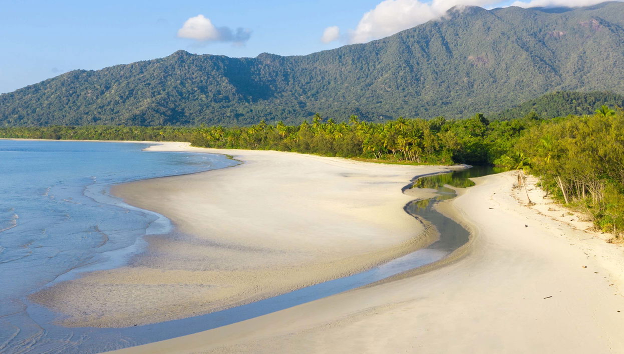 Excursión a Daintree, Mossman Gorge y Cape Tribulation