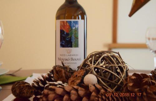 Villa Filoxenia all seasons, near airport, sea, Athens - Foto 69