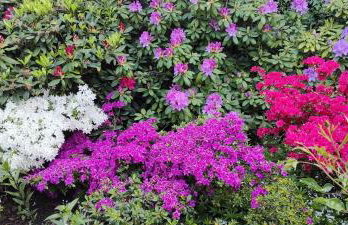 Słoneczne apartamenty - Photo 22