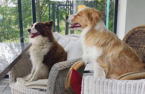 Agroturystyka Wiąz - Wypoczynek blisko z przyrodą i zwierzetami - Foto 14