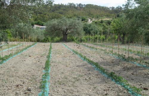 Agriturismo Donna Beatrice - Foto 64