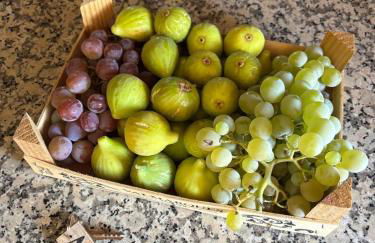 Casa Cabeço do Barragão - Photo 51