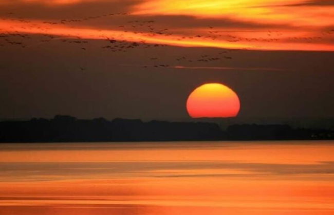 Haus Melody Comfortable Holiday Residence - Foto 14