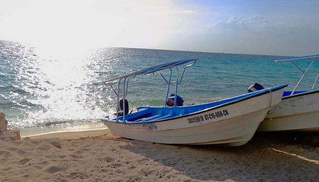 Bahía de las Águilas Day Trip from Barahona - Foto 4