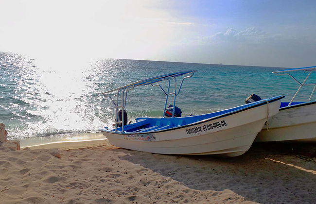 Excursion à Bahía de las Águilas - Photo 4