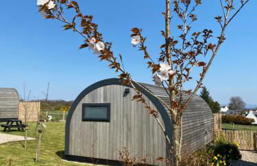 Raven's Gully - Brodick, Isle Of Arran - Photo 70