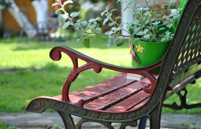 Sunčani Apartments - Foto 28