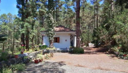 Floral garden house - Foto 3