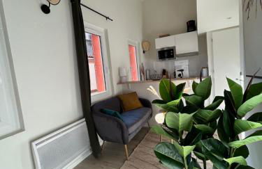 l'Apparté Saint Michel - T1bis - Métro - TRAM - Foto 38