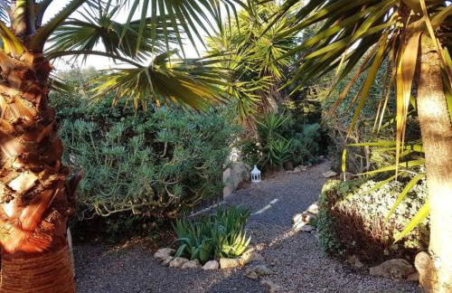 Apartment Wunderschöne Wohnung in Campos mit Terrasse by Interhome - Foto 16