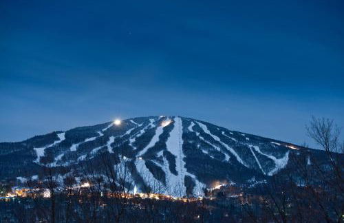 Vantage Point Villas at Stratton Mountain Resort - Foto 16