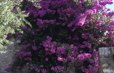 Villa Rachele: stunning luxury villa in centre Gargnano with private pool and breathtaking views - Foto 39