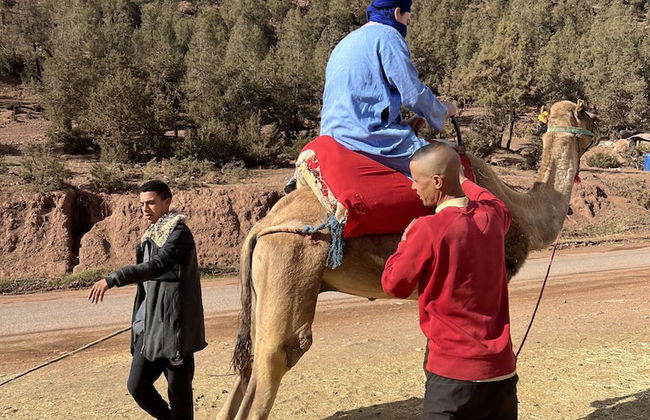 Tazart Lodge - Foto 49