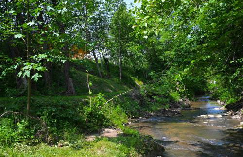 GOŁOSANKA - Domki nad Potokiem - 693-201-038 - Photo 23