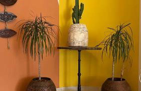 Beach House in Itea-Delphi - Photo 54