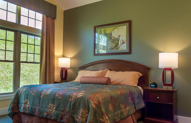 Massanutten's Regal Vistas by Tripforth - Foto 8