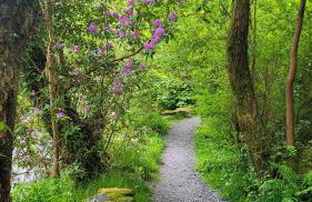 The Granary Corris on the edge of the Dyfi Forest - Photo 26