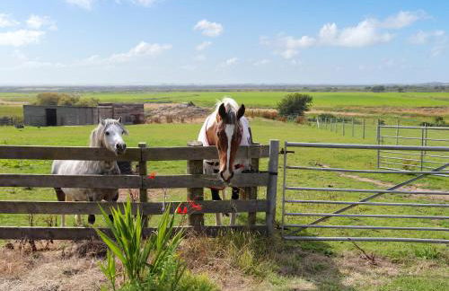 Glan Tywyn Shepherds Hut - Foto 10