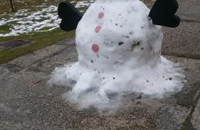 Casinha Ponte Nova - Foto 23