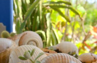 Gemilos Nook - Foto 10