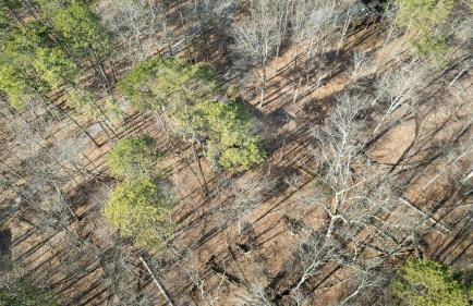 Zen Vibe w Fireplace Grill Deck & Screened Porch - Foto 43