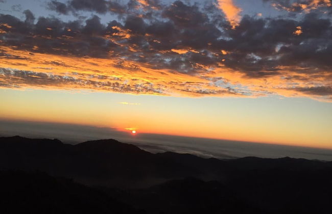 The Bryll Homes - Foto 15